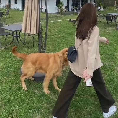 贴身风暴